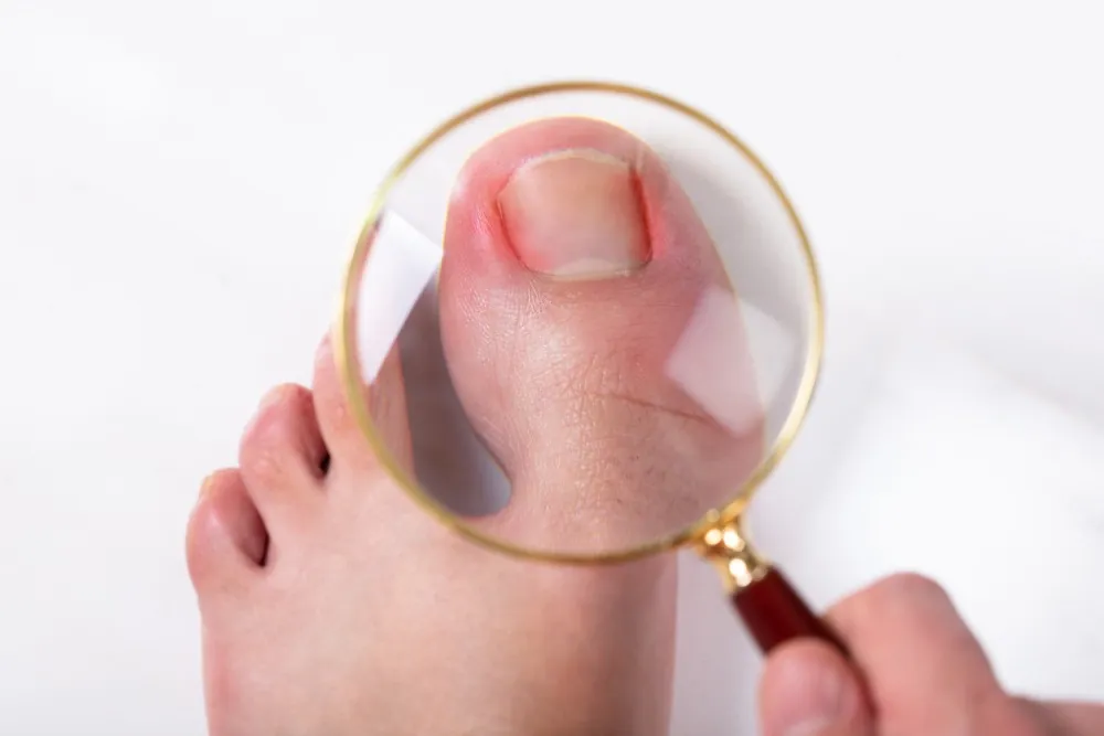 shutterstock 1382444321